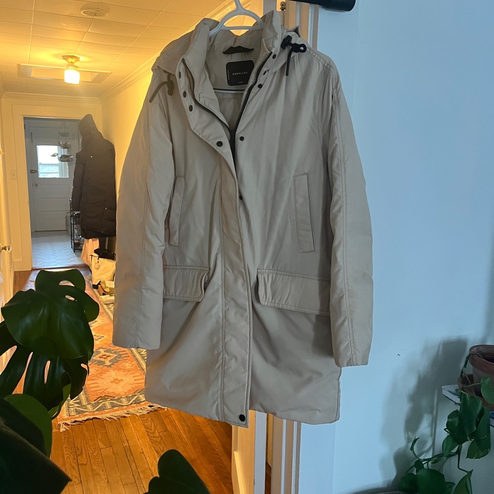 Everlane Ranew Parka